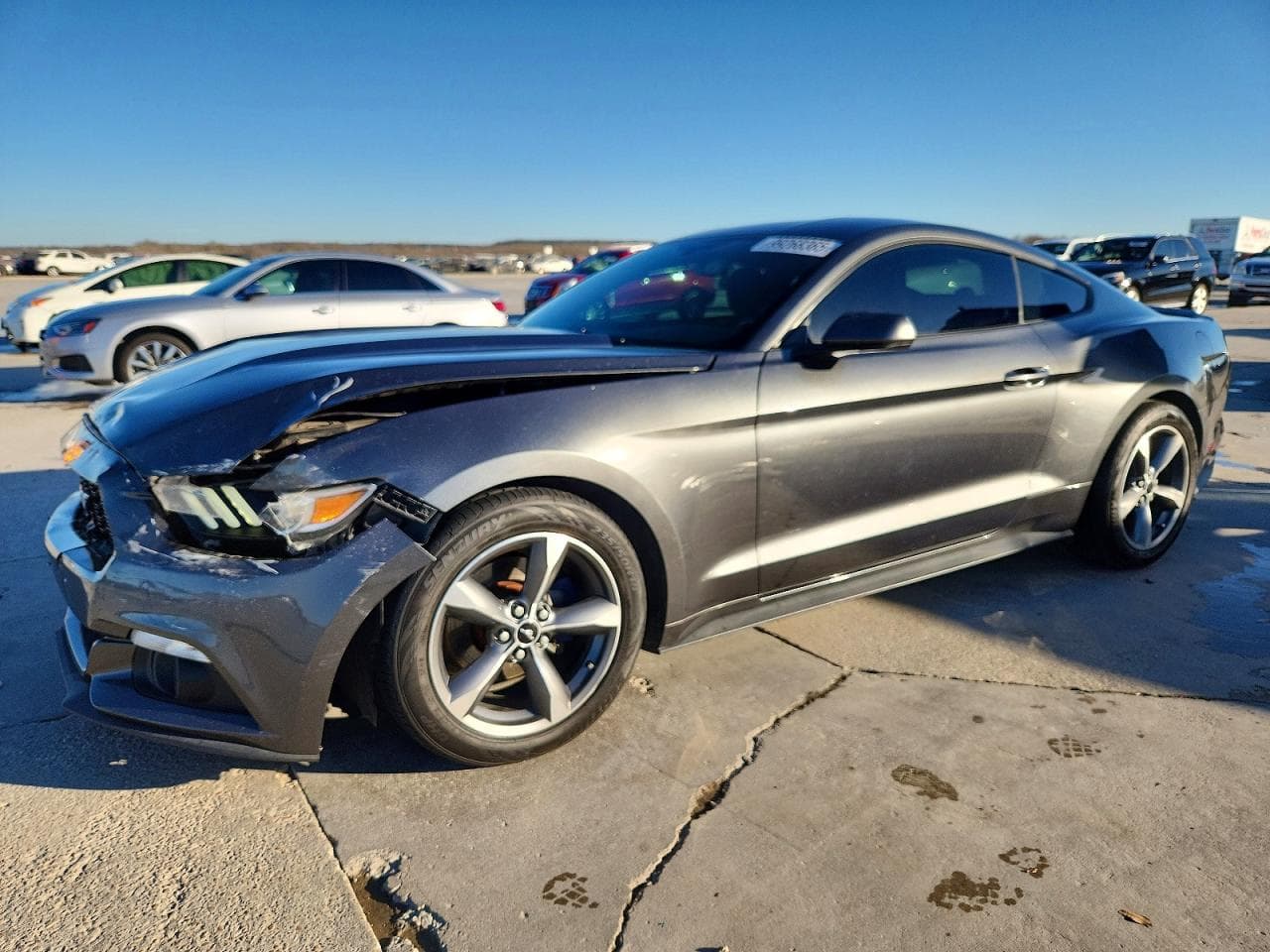 MUSTANG