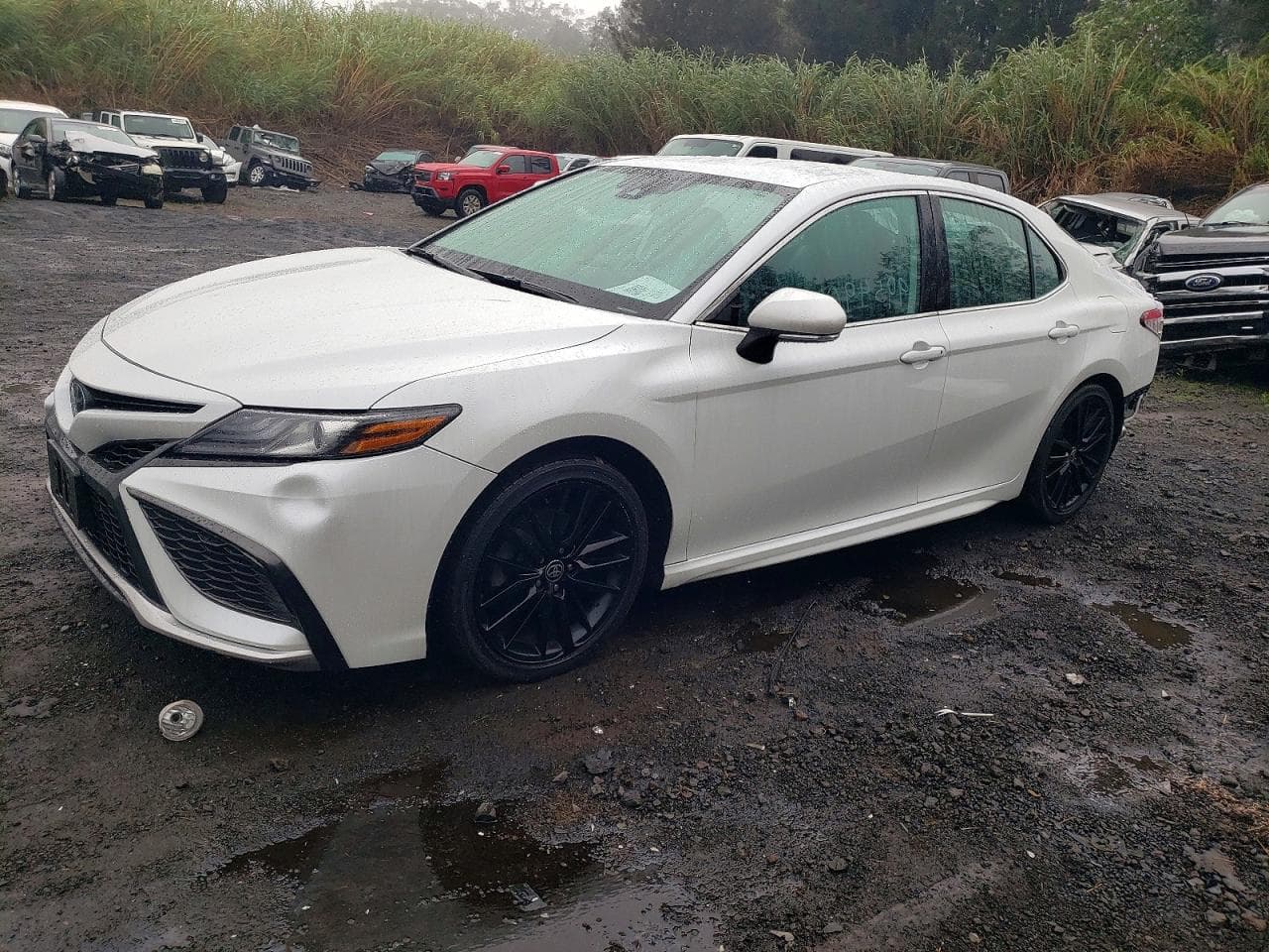 CAMRY