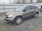 CRV