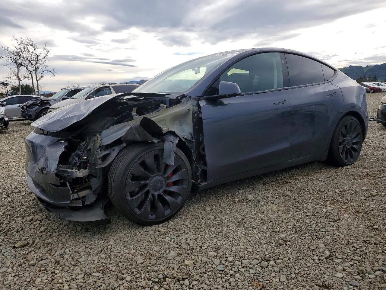 MODEL Y