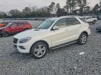 M-CLASS