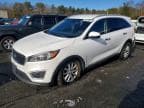 SORENTO