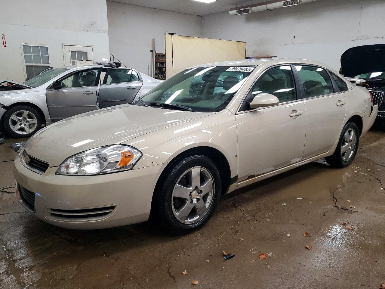 IMPALA