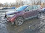 CRV