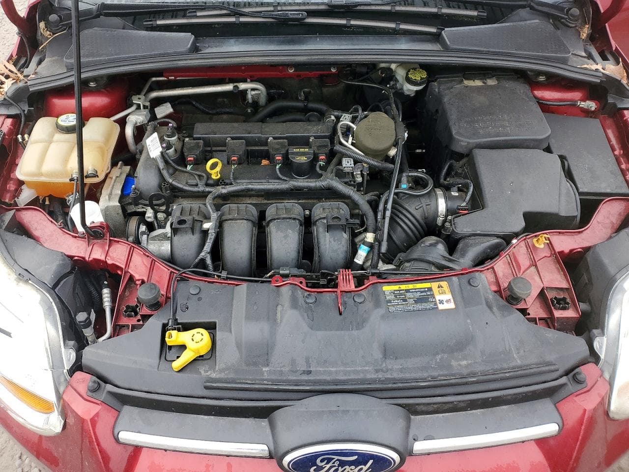 Foto 11