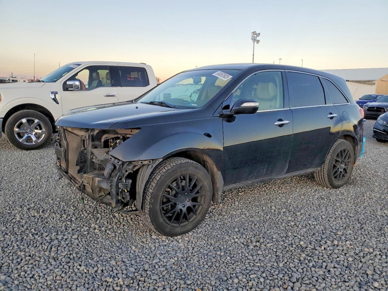 MDX