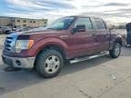 F150
