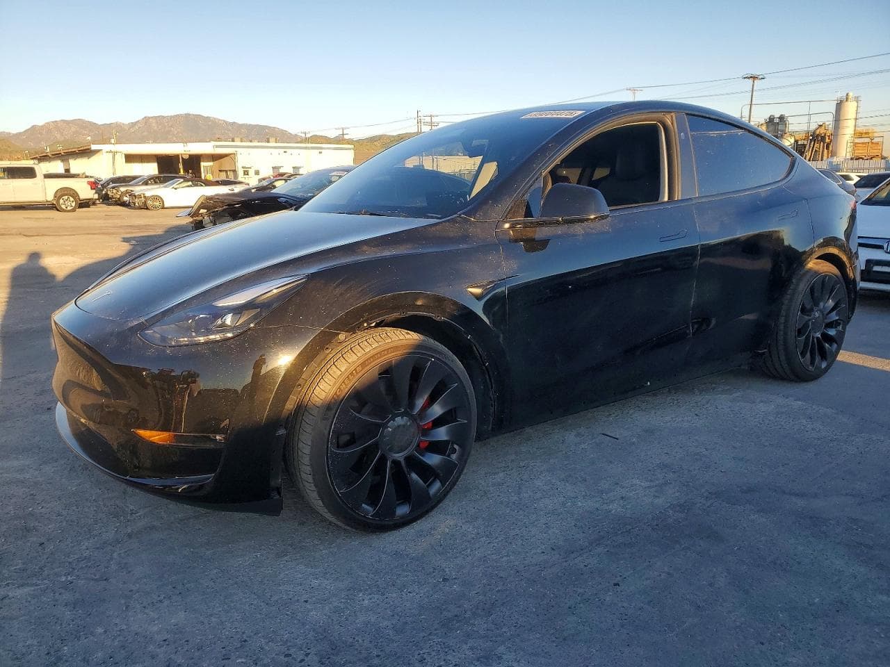 MODEL Y