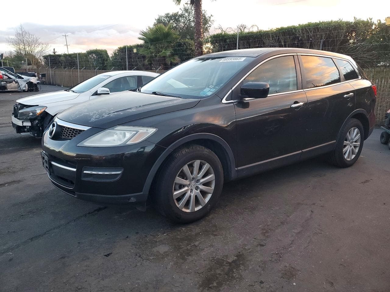 CX-9