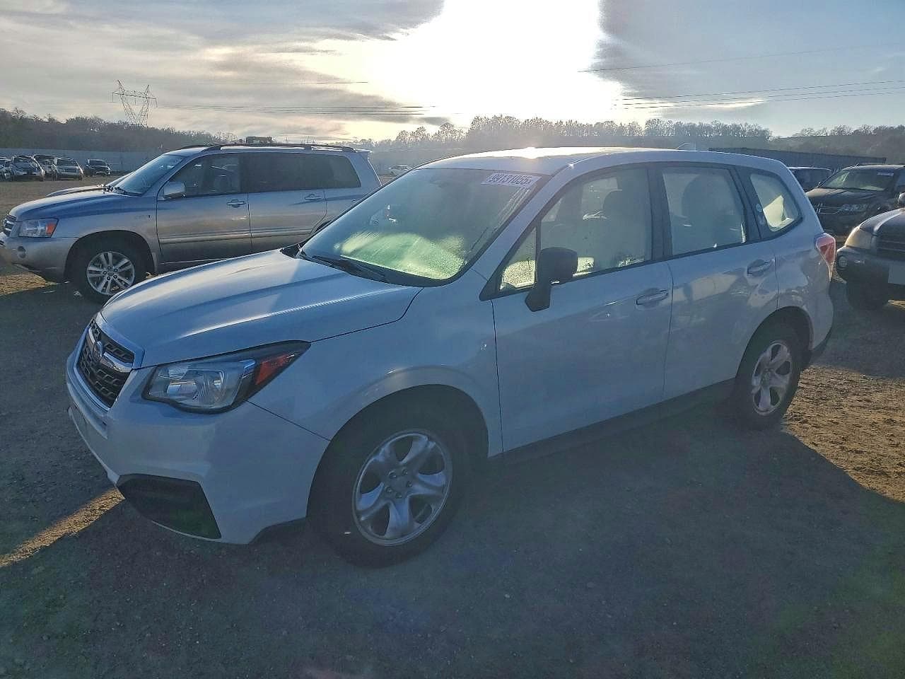 FORESTER