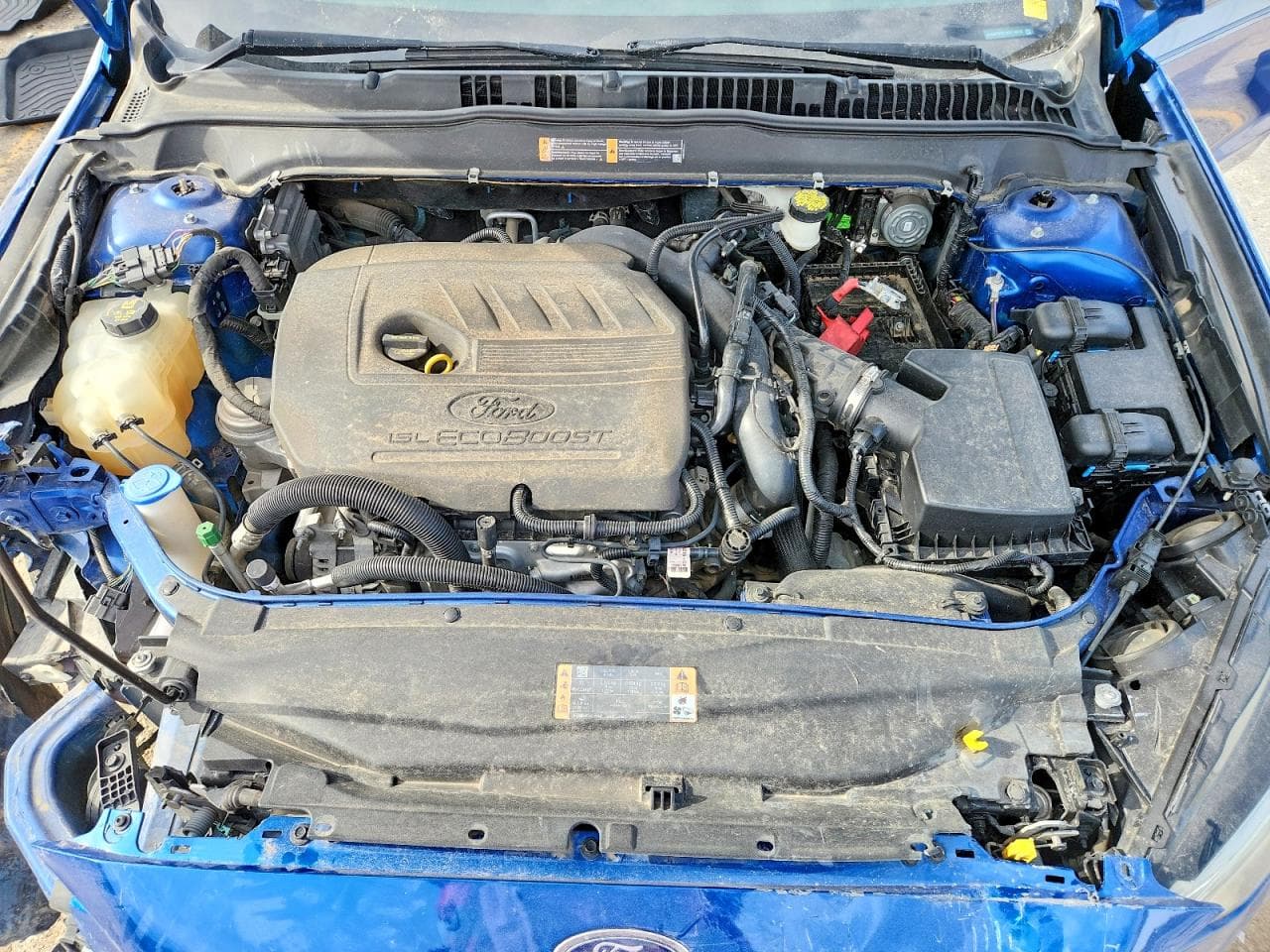 Foto 11