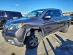 RIDGELINE