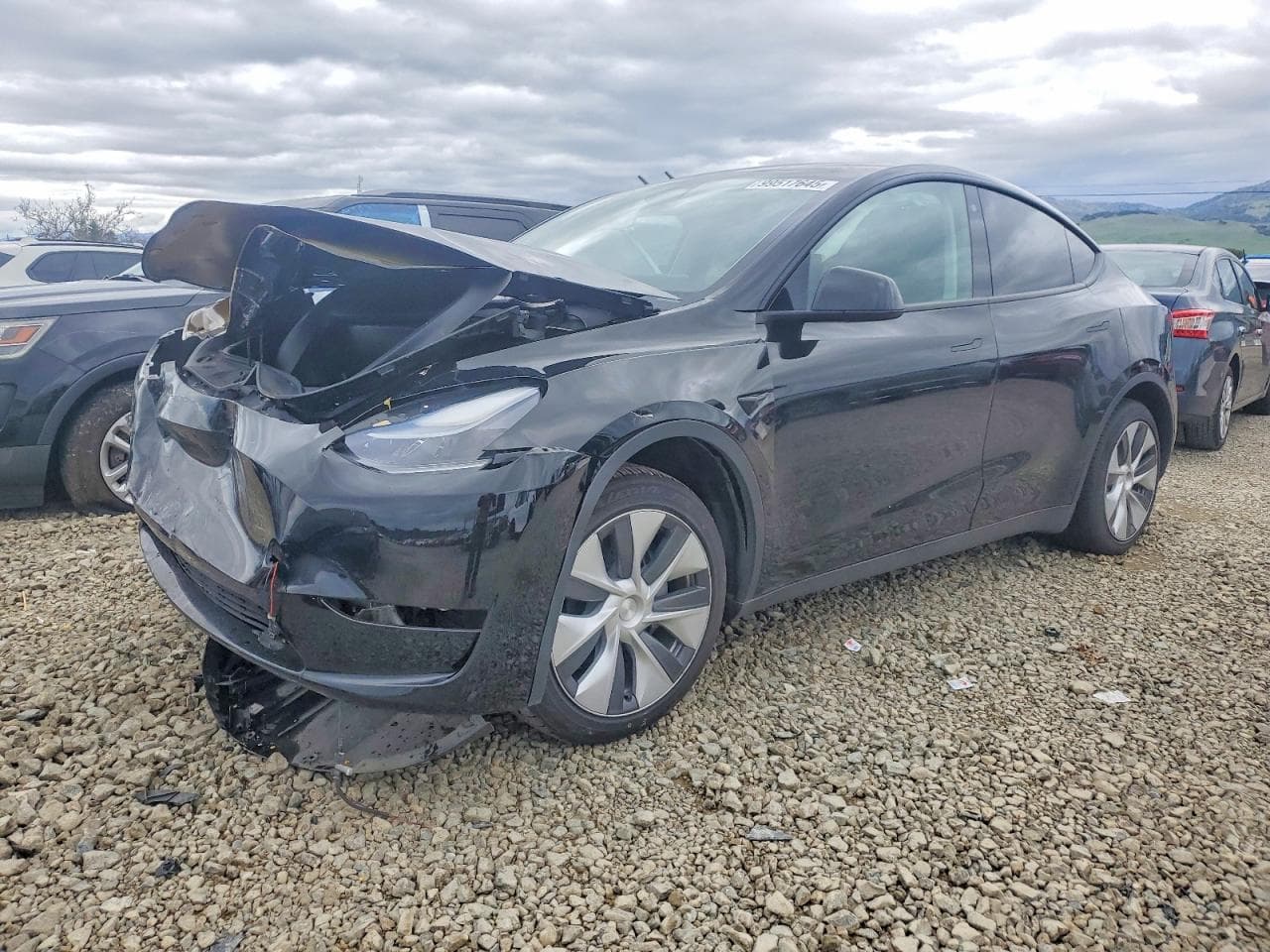 MODEL Y