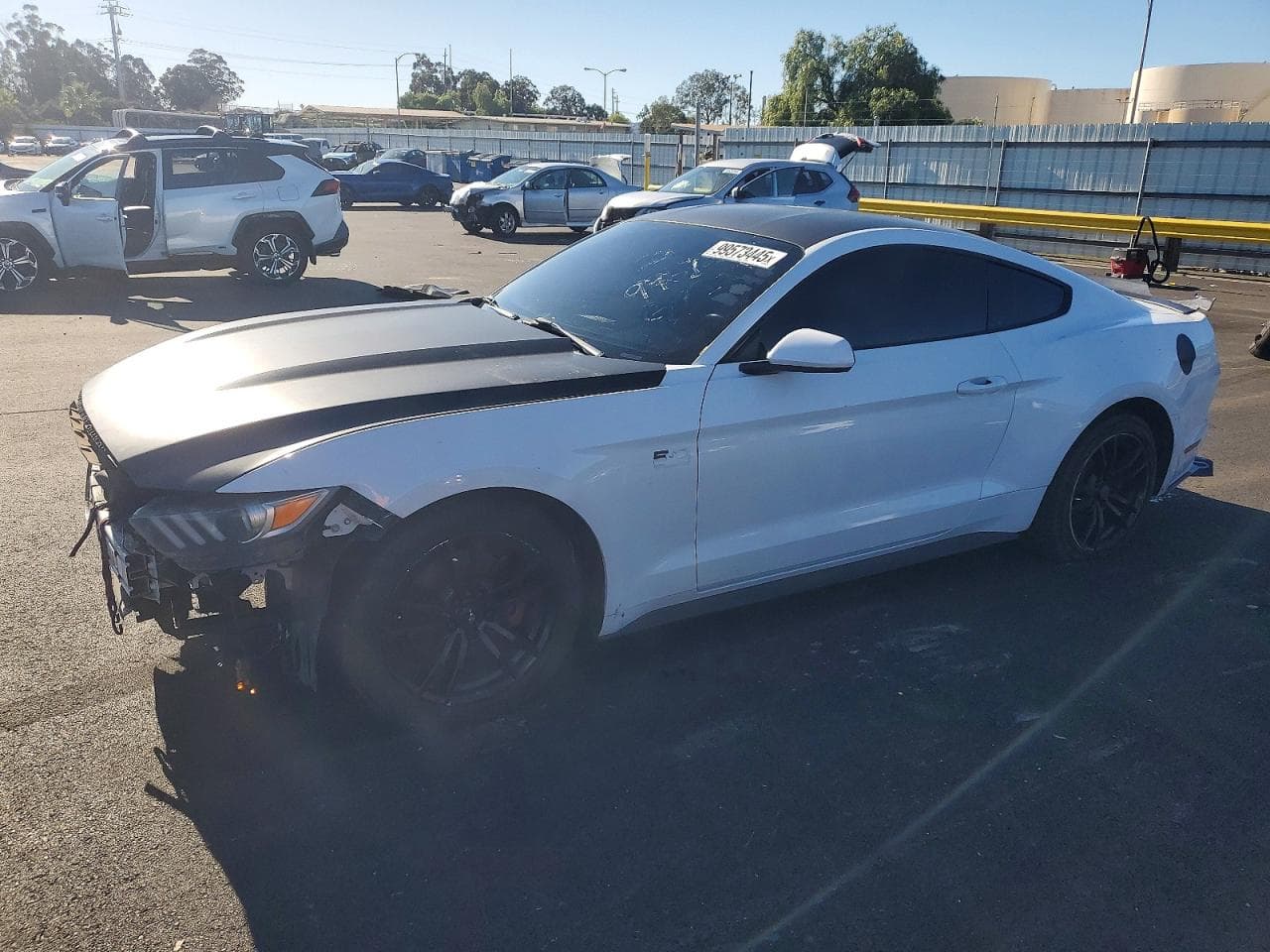 MUSTANG