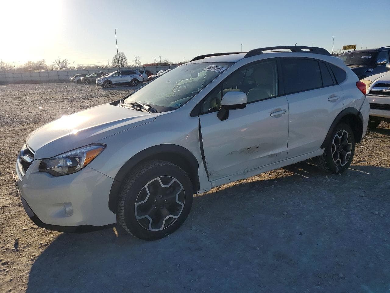 XV