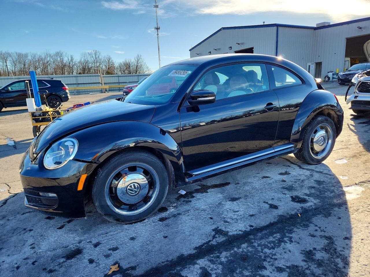 BEETLE