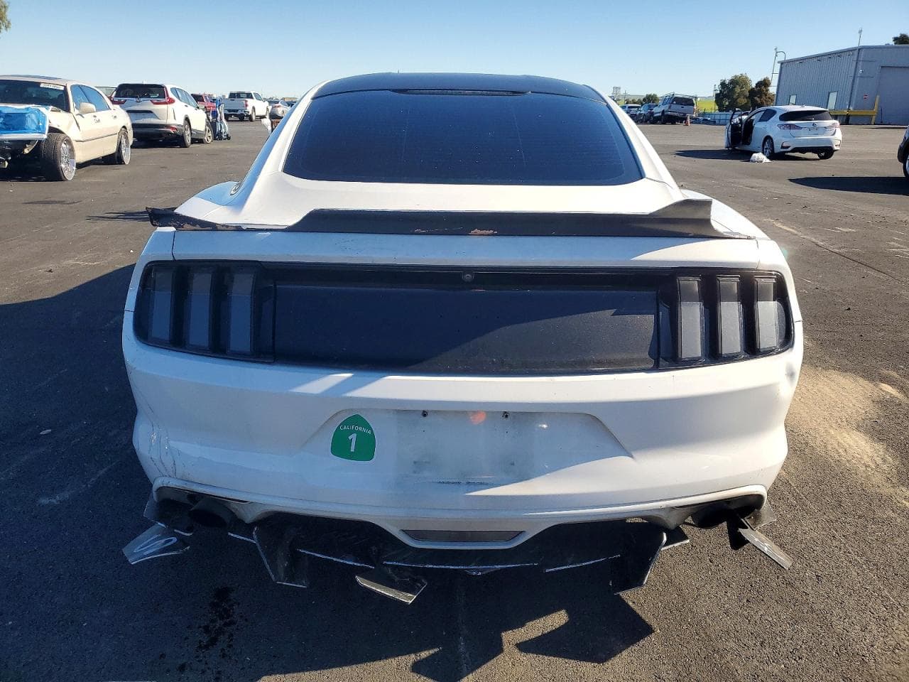 Foto 6