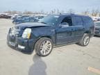 ESCALADE