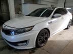 OPTIMA