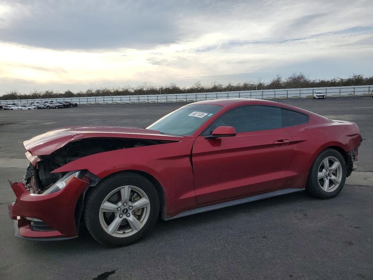 MUSTANG