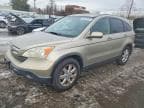 CRV