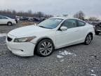 ACCORD