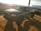 TACOMA
