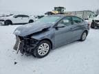 ELANTRA