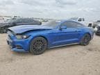MUSTANG