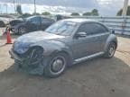 BEETLE