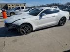 MUSTANG