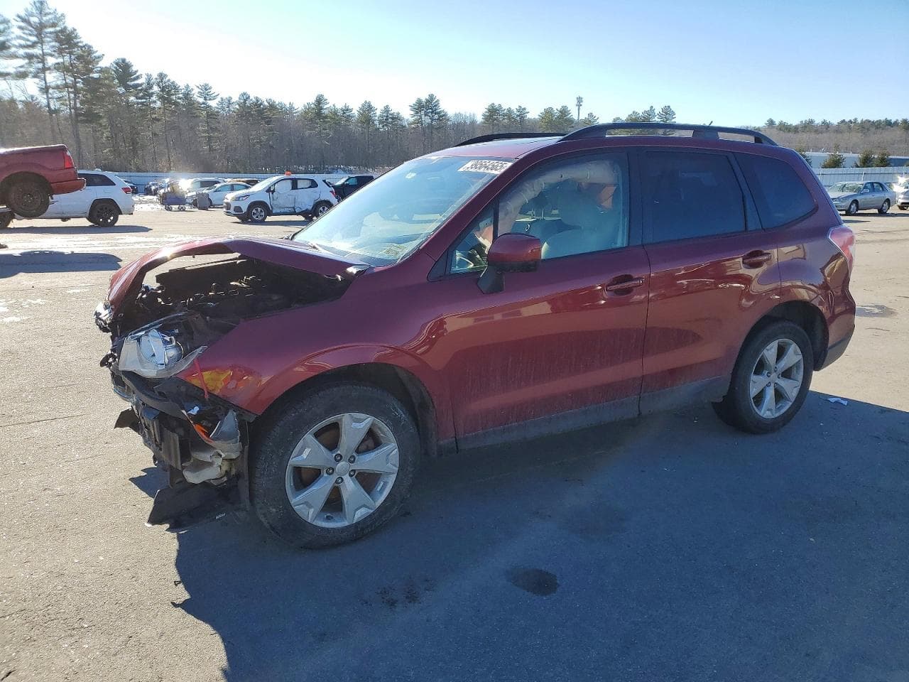 FORESTER