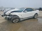 MUSTANG