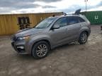 SORENTO