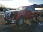 F-150