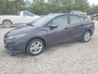 CRUZE