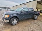 F-150