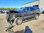 ESCALADE