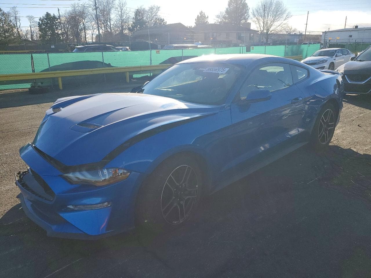 MUSTANG