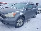 CRV