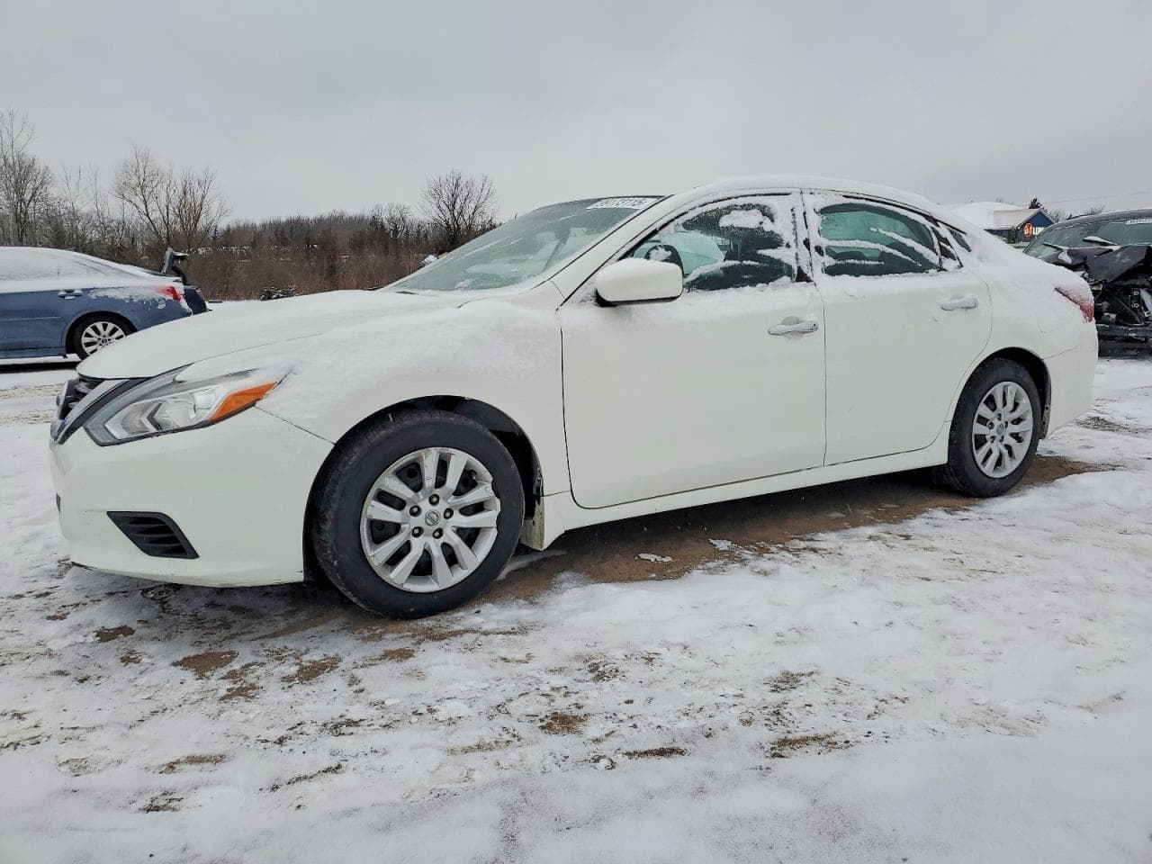 ALTIMA