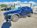 CX30