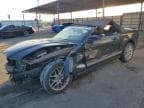 MUSTANG