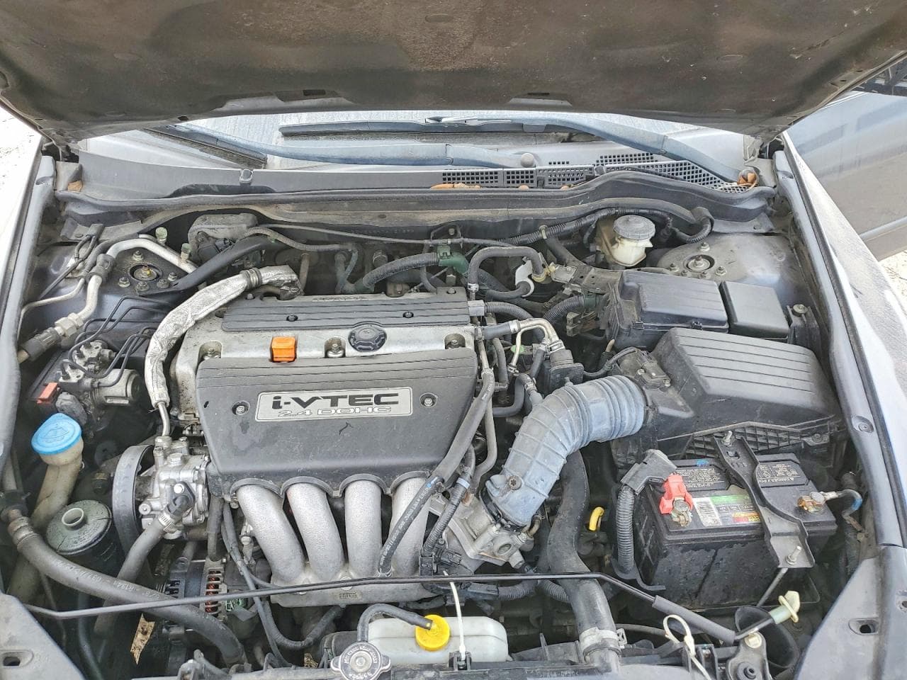 Foto 11