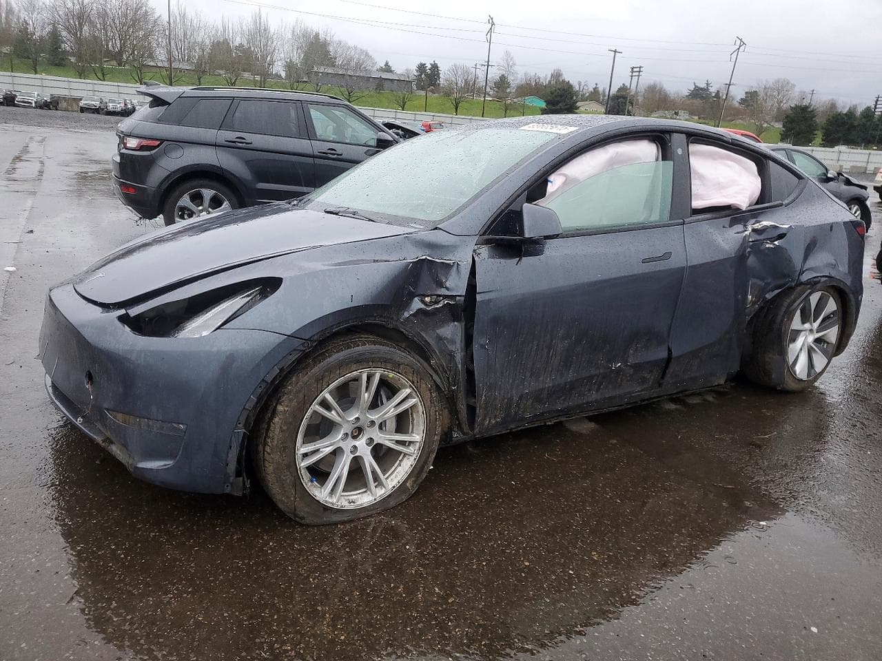 MODEL Y