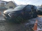 SPORTAGE X