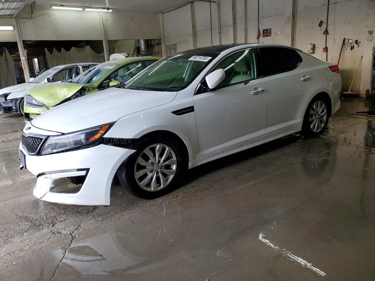 OPTIMA