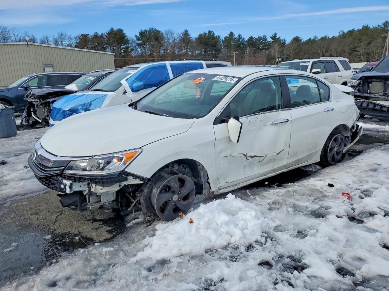 ACCORD