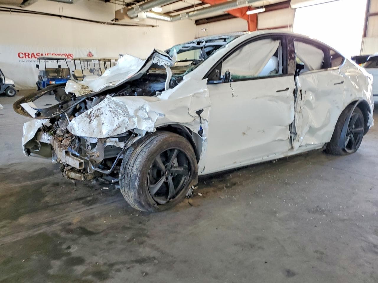 MODEL Y