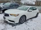 TLX